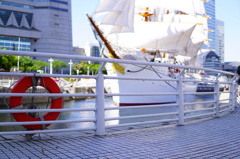 YOKOHAMA 日本丸