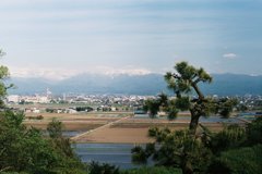 松と春の立山