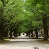 東京大学の緑2
