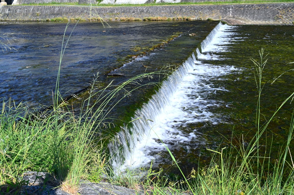 鴨川