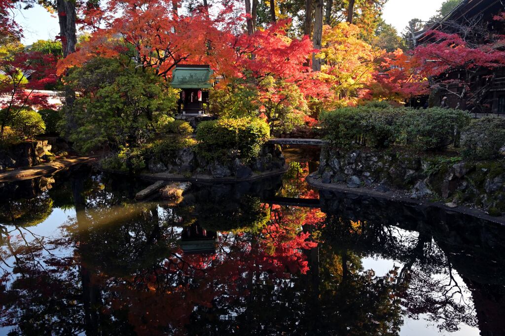 紅葉80