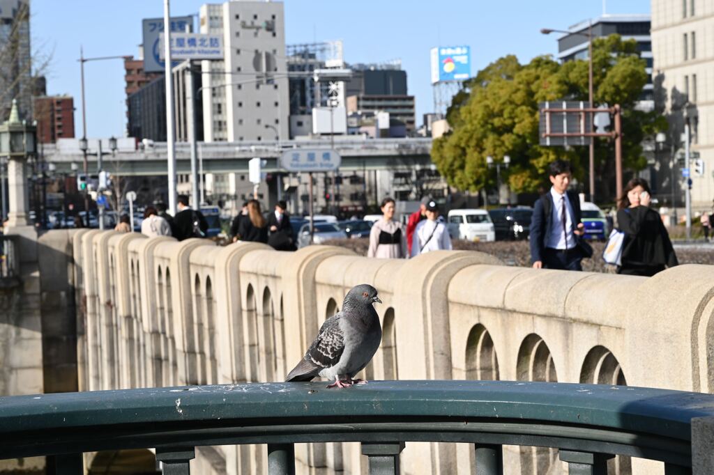 何か用でも？