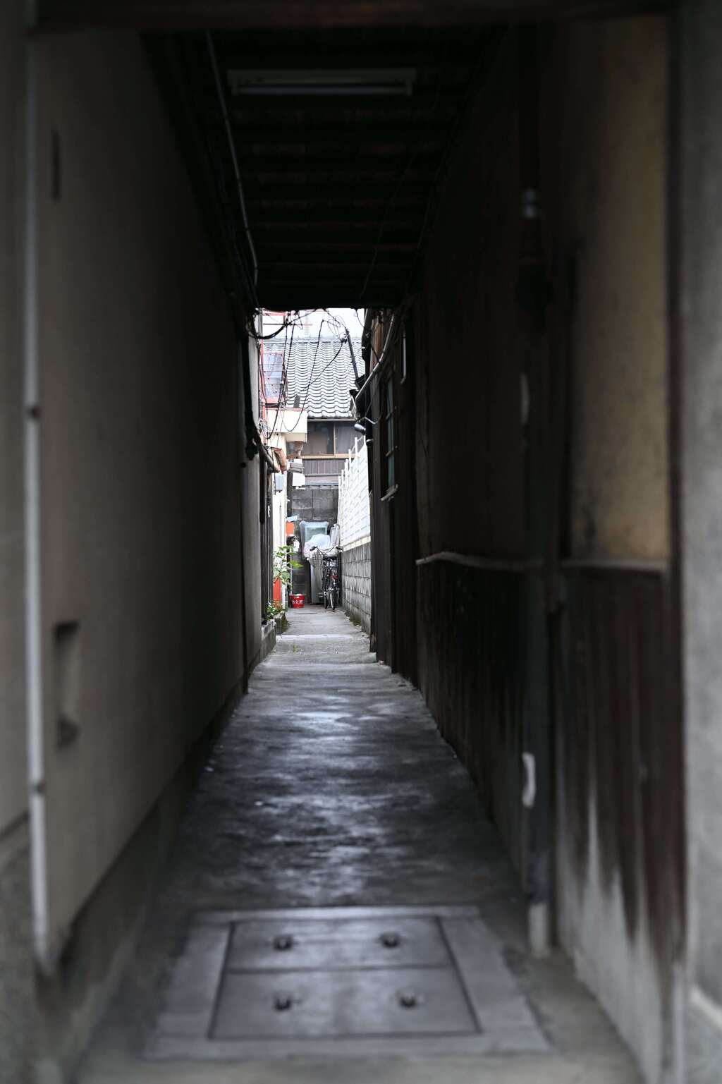路地