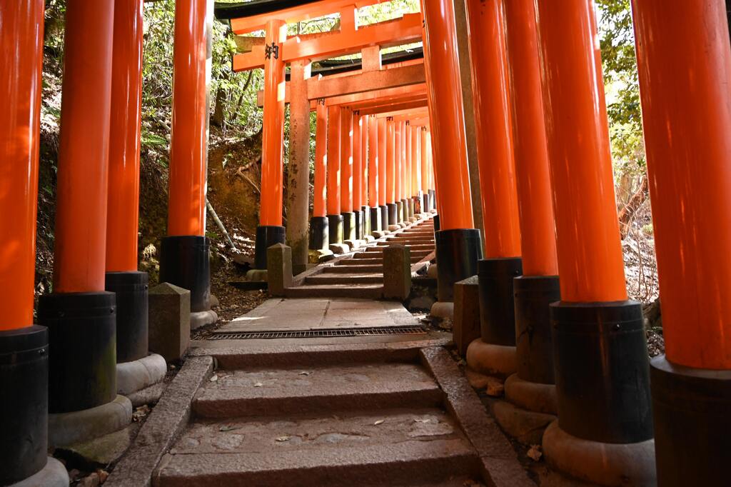 千本鳥居を行く