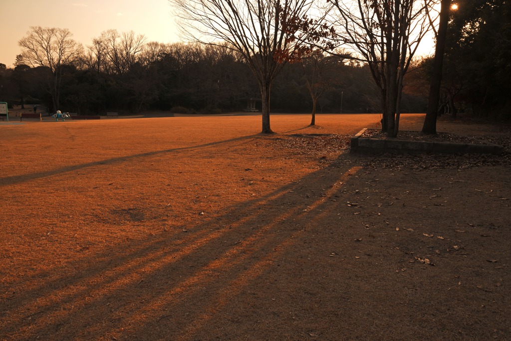 西日射す公園