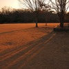 西日射す公園