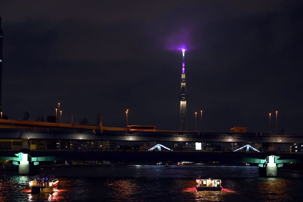 屋形船がある夜景2