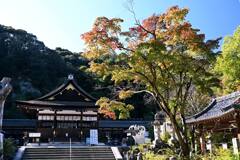 わずかに紅葉
