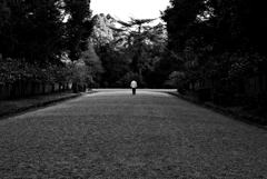 STREET53