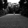 STREET53