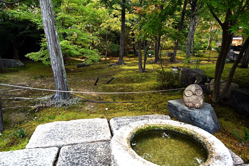 勝林寺