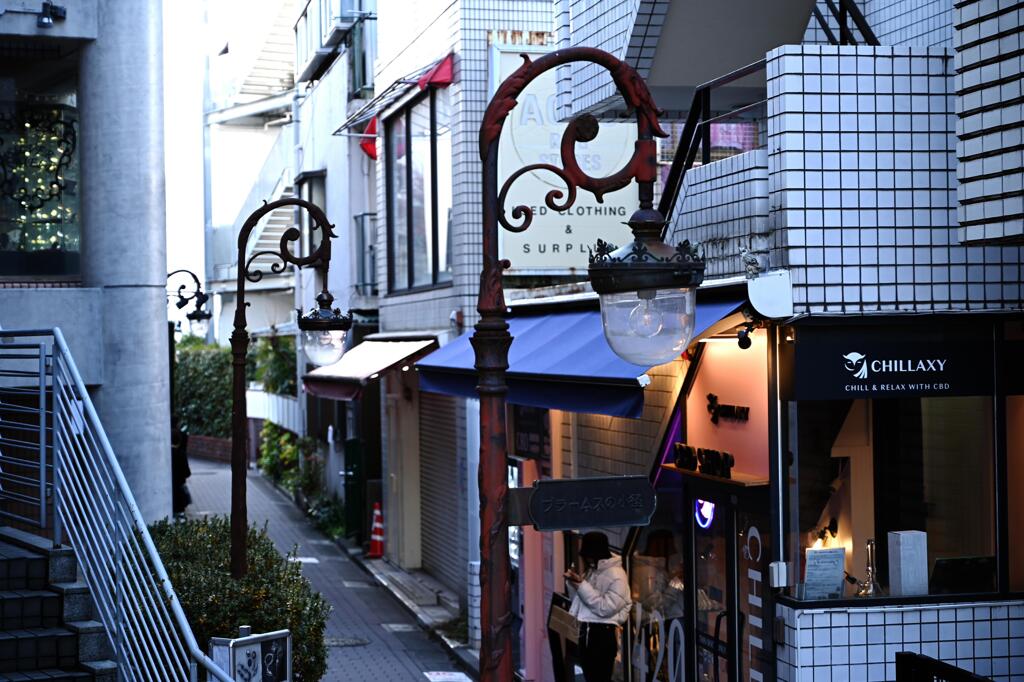 ブラームスの小径