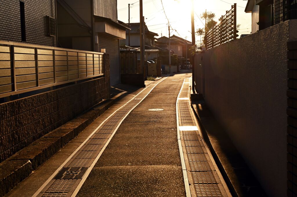 光る道