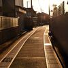 光る道