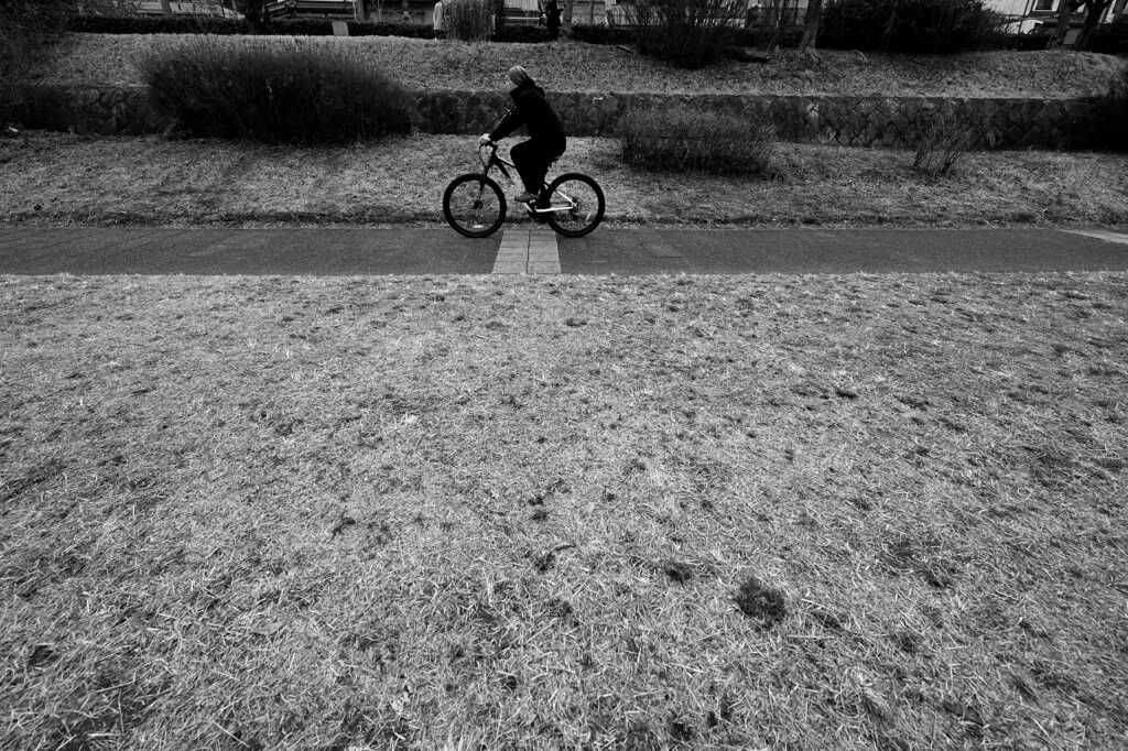STREET65