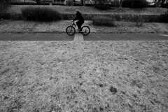 STREET65