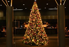 クリスマスツリー