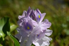 散歩スナップ23