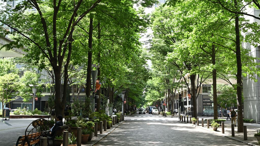 丸の内仲通り