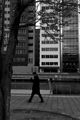 STREET12