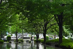 STREET99