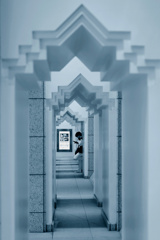 STREET161