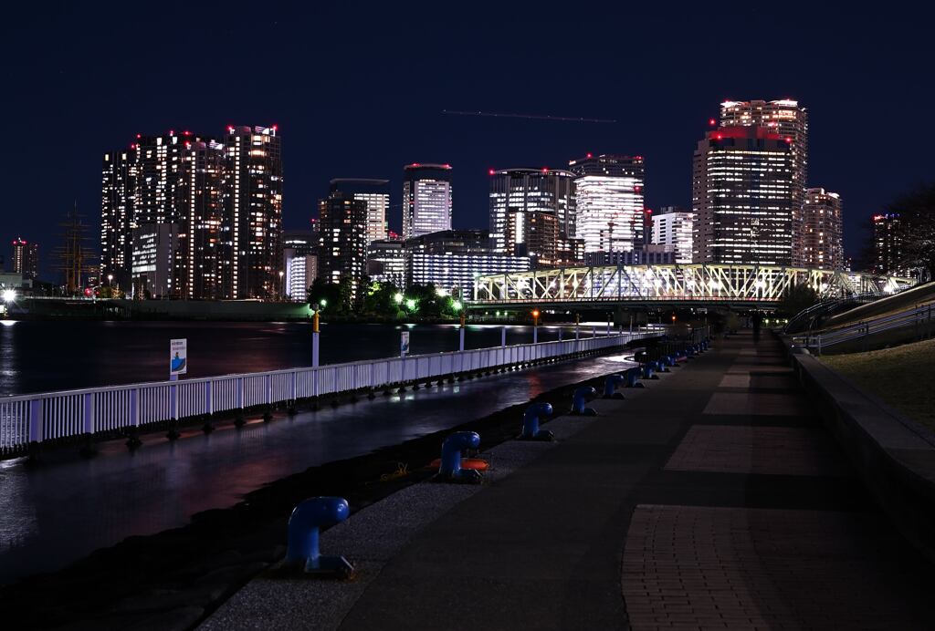 相生橋と豊洲ビル群夜景
