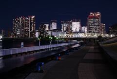 相生橋と豊洲ビル群夜景