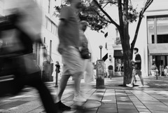 STREET133