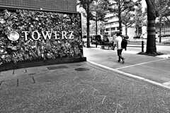 STREET146