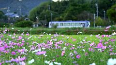 穏やかな一日