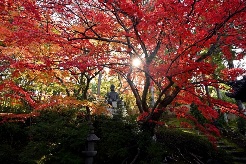 紅葉83