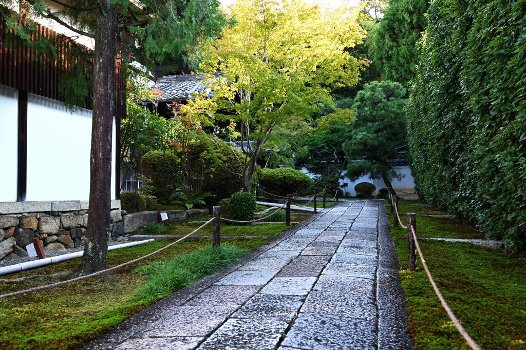 雪舟寺