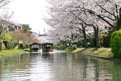 伏見・濠川にて