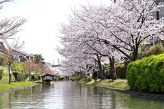 伏見・濠川にて