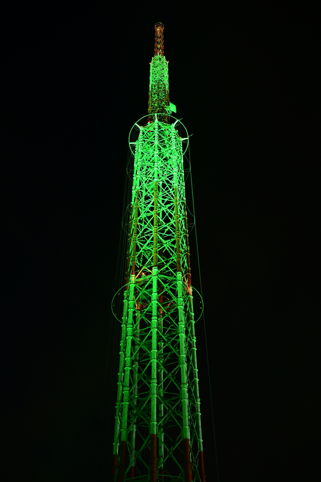 ライトアップ14