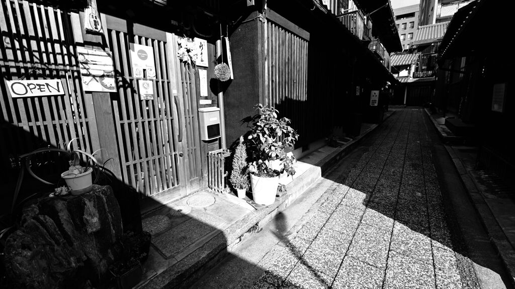 日の当たる店