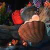 Disney10