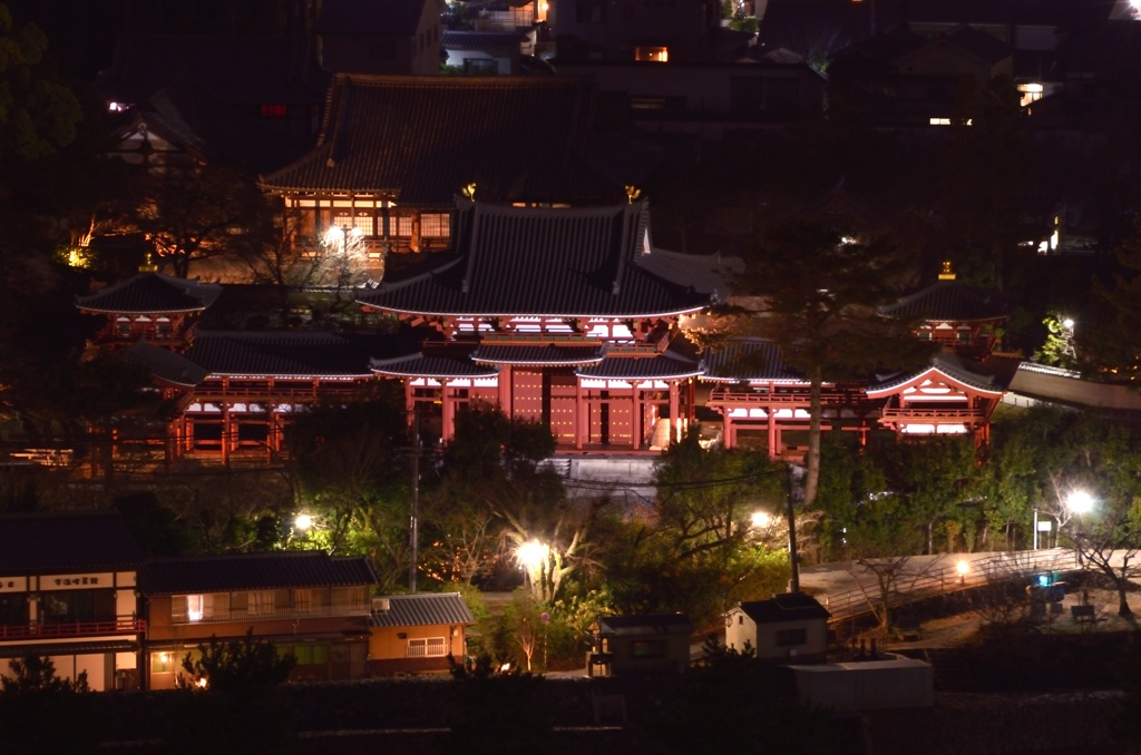 平等院夜景