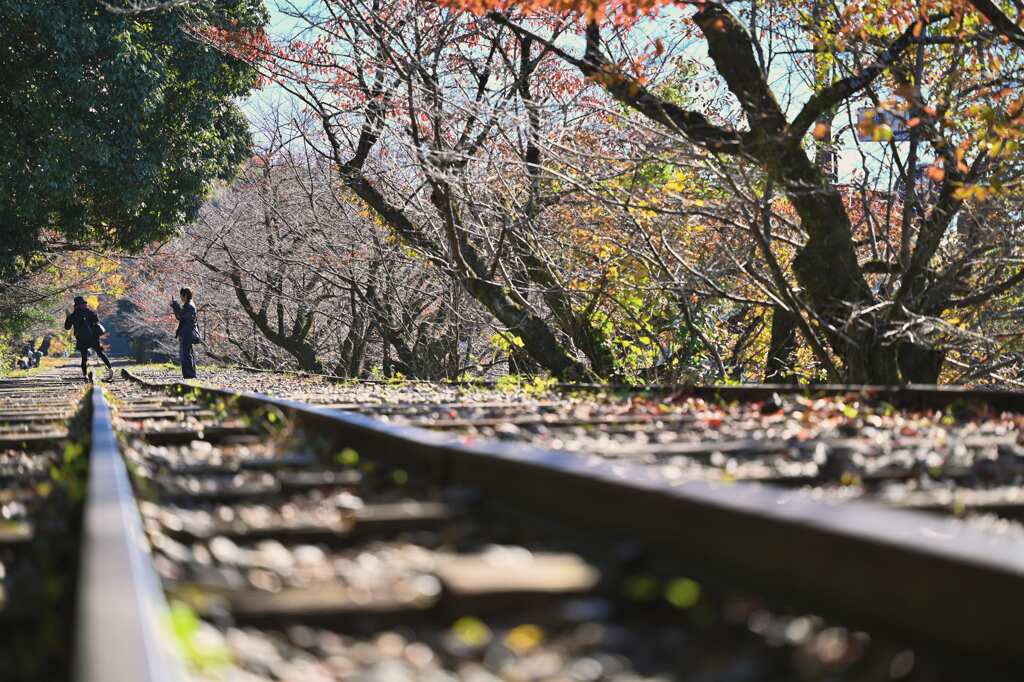 靴脱げちゃった！