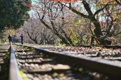 靴脱げちゃった！