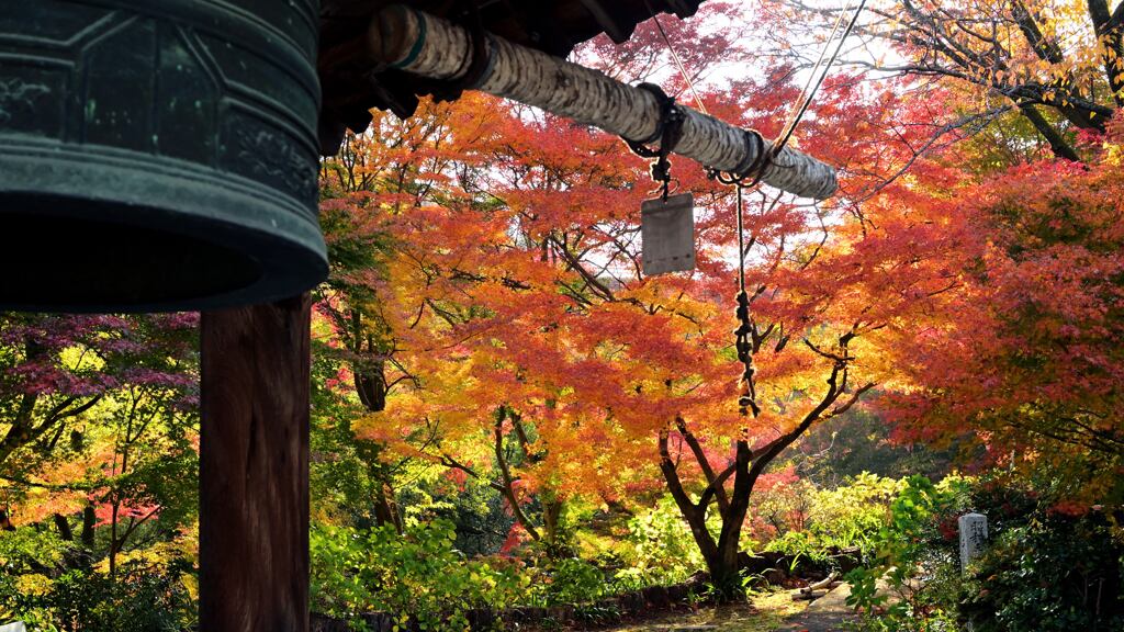 紅葉103