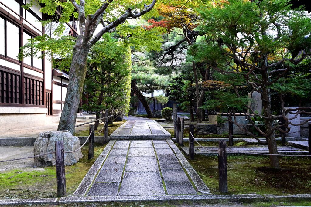退耕庵