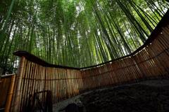 小野小町化粧井戸