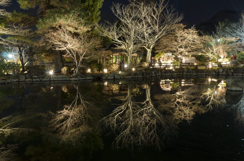 円山公園ひょうたん池1