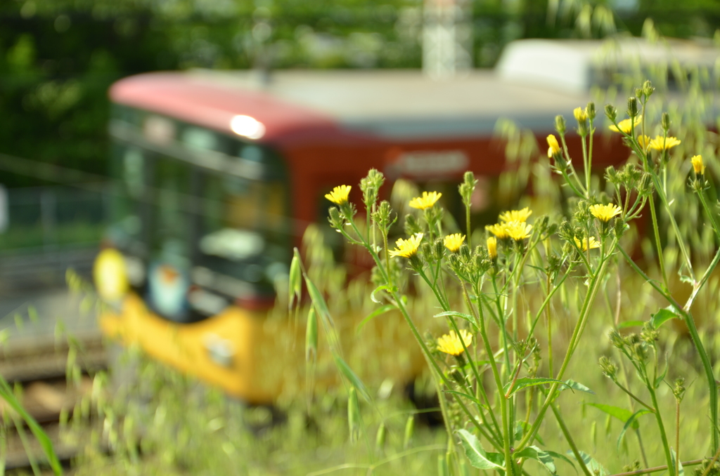 Yellow＆8000