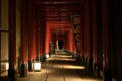 灯り84