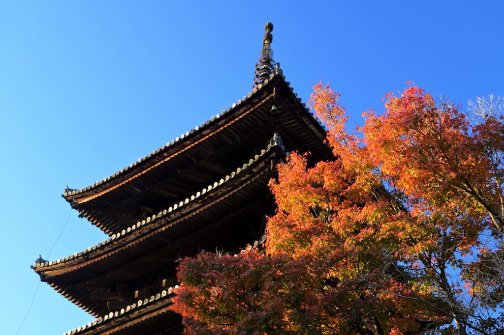 紅葉97