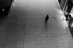 STREET117