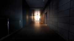 光